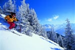 Tiefschneefahren 2